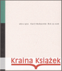 Rok na cestě Karol Maliszewski 9788090345676