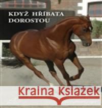 Když hříbata dorostou Stanislav Hošák 9788090397439