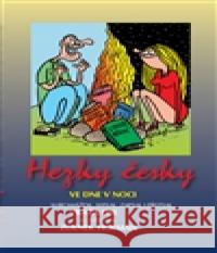 Hezky Česky ve dne v noci Zdeněk Hofmann 9788090426269 Agrofin
