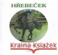 Hřebeček Jindra Hubková 9788090442382