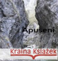 Apuseni Michal Kleslo 9788090483200