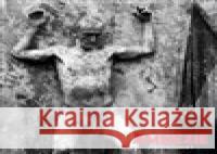 Amnézie - průvodní jev a problém současné doby Jiří Sozanský 9788090496262