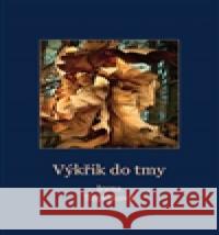 Výkřik do tmy Irena Topinková 9788090496804