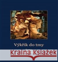 Výkřik do tmy Irena Topinková 9788090496804