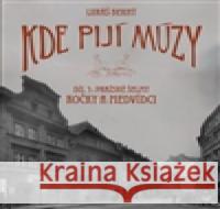 Kde pijí múzy 3 Lukáš Berný 9788090538955