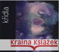 Křídla Petr Volf 9788090550834