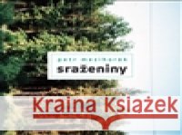 Sraženiny Petr Mezihorák 9788090590403