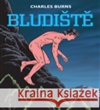 Bludiště 2 Charles Burns 9788090605879