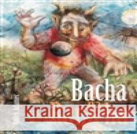 Bacha na Raracha Kudmila Vašková 9788090618428 Colibris - GMP Group
