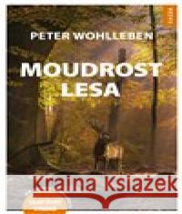 Moudrost lesa Peter Wohlleben 9788090719743 Nakladatelství Kazda