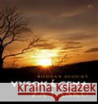 Vysoká cena za lásku Bohdan Dlouhý 9788090736078