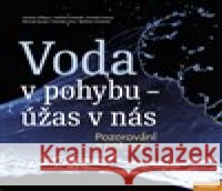 Voda v pohybu - úžas v nás Wolfram Schwenk 9788090742024