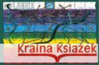 Líla, cesty k sebepoznání  9788090772007 Labrix