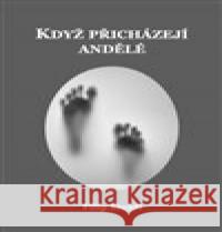 Když přicházejí andělé Filip Štojdl 9788090788114