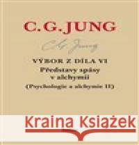 Výbor z díla VI. - Představy spásy v alchymii Carl Gustav Jung 9788090790544 Nadace Hollar