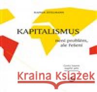 Kapitalismus není problém, ale řešení Rainer Zitelmann 9788090852648 Fish&Rabbit