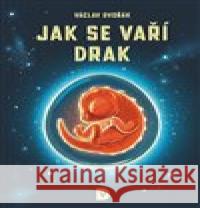 Jak se vaří drak Jakub Cenkl 9788090857810 Václav Dvořák