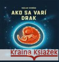 Ako sa varí drak Václav Dvořák 9788090857827