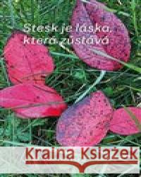 Stesk je láska, která zůstává J.M. Berounská 9788090860070 CULTUM