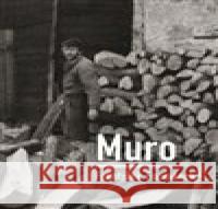 Muro František Formánek 9788090920262