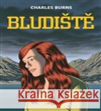 Bludiště 3 Charles Burns 9788090921900