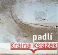 Padlí Matěj Kulišťák 9788090944725