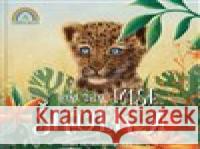 Mise školka Viktoria Radushynská 9788099971142