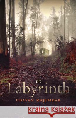 The Labyrinth Majumdar Udayan Udayan Majumdar 9788129124166 Rupa Publications