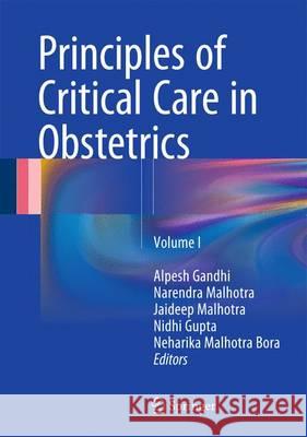 Principles of Critical Care in Obstetrics: Volume 1 Gandhi, Alpesh 9788132226901