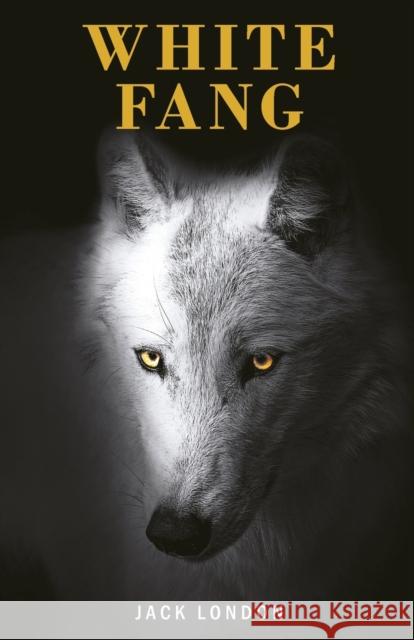 White Fang Jack London 9788194983514 Classy Publishing