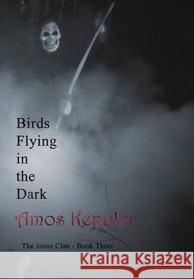 Birds Flying in the Dark Amos Keppler 9788291693101 Midnight Fire Media