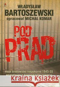 Pod prąd + CD Bartoszewski Władysław 9788301165109 Wydawnictwo Naukowe PWN