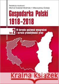Gospodarka Polski 1918-2018 Woźniak Michał Gabriel 9788301210786 Wydawnictwo Naukowe PWN