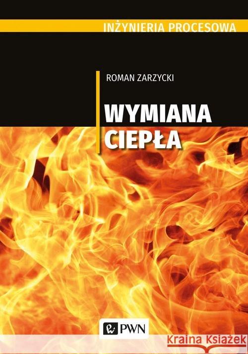 Inżynieria procesowa Zarzycki Roman 9788301212162 Wydawnictwo Naukowe PWN