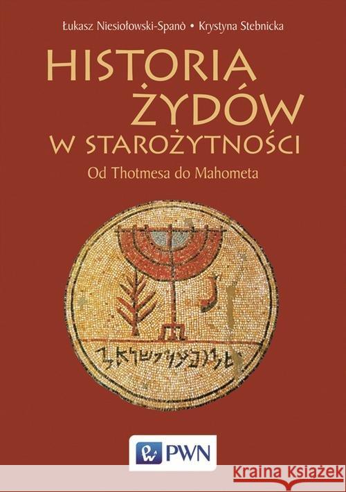 Historia Żydów w starożytności Niesiołowski-Spano Łukasz Stebnicka Krystyna 9788301212797 Wydawnictwo Naukowe PWN