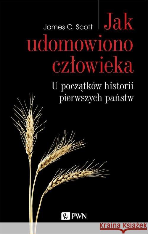 Jak udomowiono człowieka Scott James C. 9788301213039 Wydawnictwo Naukowe PWN