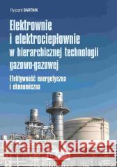 Elektrownie i elektrociepłownie w hierarchicznej.. Ryszard Bartnik 9788301219840
