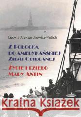 Z Połocka do amerykańskiej Ziemi Obiecanej Lucyna Aleksandrowicz-Pędich 9788301237721