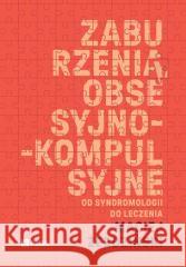Zaburzenia obsesyjno-kompulsyjne Maciej Żerdziński 9788301244163