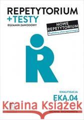 Repetytorium i testy. Technik ekonomista. EKA.04. Anna Stromecka, Joanna Śliżewska, Aleksandra Ziel 9788302188800