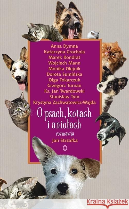 O psach, kotach i aniołach Strzałka Jan 9788308063309 Literackie
