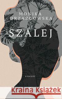 Szalej Drzazgowska Monika 9788308070505 Literackie