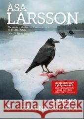 I tylko czarna ścieżka Asa Larsson, Beata Walczak-Larsson 9788308076446