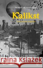 Kalikst. Fermentacja pragnień Robert Nowakowski 9788308083819