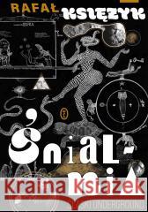 Śnialnia. Śląski underground Rafał Księżyk 9788308085950