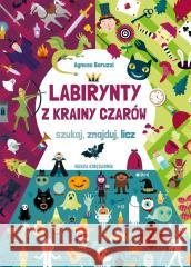 Labirynty z Krainy Czarów Agnese Baruzzi 9788310142672