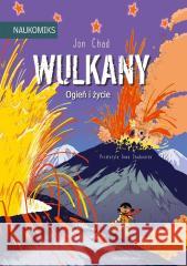 Wulkany - ogień i życie Jon Chad 9788310144201