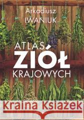 Atlas ziół krajowych Arkadiusz Iwaniuk 9788311166516