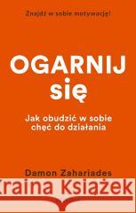 Ogarnij się Damon Zahariades 9788311173880