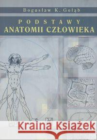 Podstawy anatomii człowieka Gołąb Bogusław K. 9788320037562 PZWL